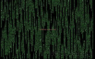 【揭秘】网络上被黑，如何找到专业出黑技术？破解黑链困境，还你清朗网络空间！