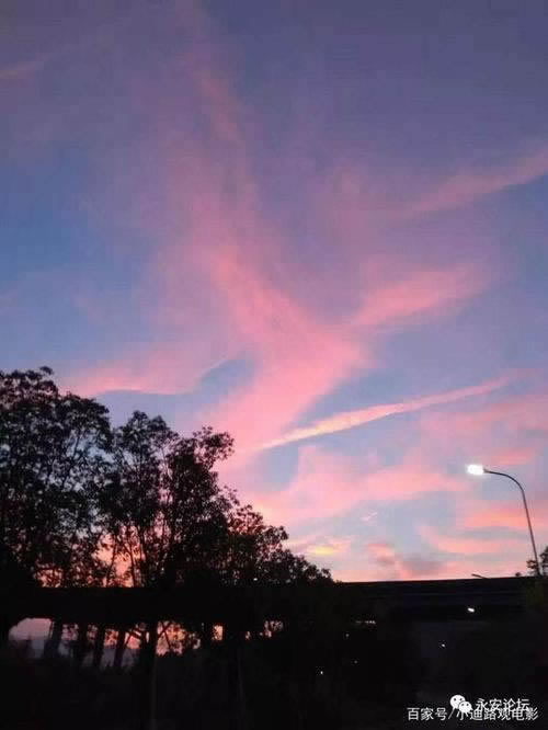 平台风控不能提现？揭秘背后的真相与解决之道